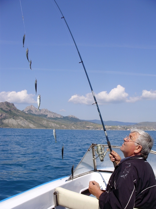 Прекрасное дело рыбалка на Черном море.