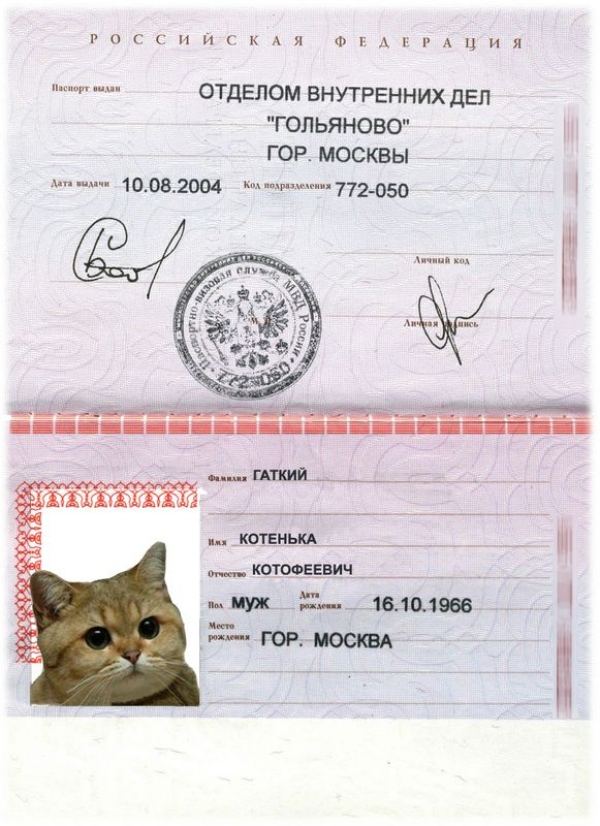ОФИЦИАЛЬНО.Проверка по списку недействительных российских паспортов