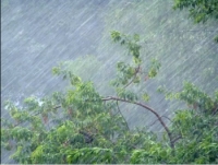Штормовое предупреждение на 1 июня о сильных дождях, грозах, граде и шквале 17-22 м/с в Крыму