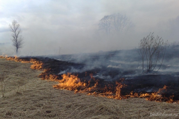 На территории Республики Крым введён особый противопожарный режим