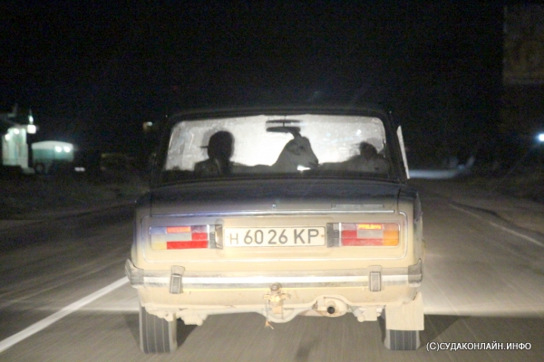 Юмор на крымских ночных дорогах .Фото ночных пассажирок