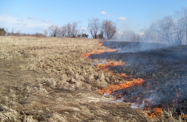Будьте осторожны при сжигании сухой травы и мусора.