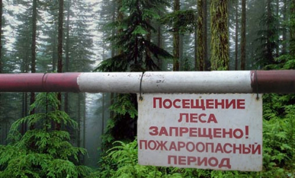 МЧС сообщает об ограничении пребывания граждан в лесах сроком на 21 день.