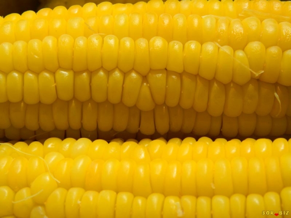 На Меганоме вареная кукуруза